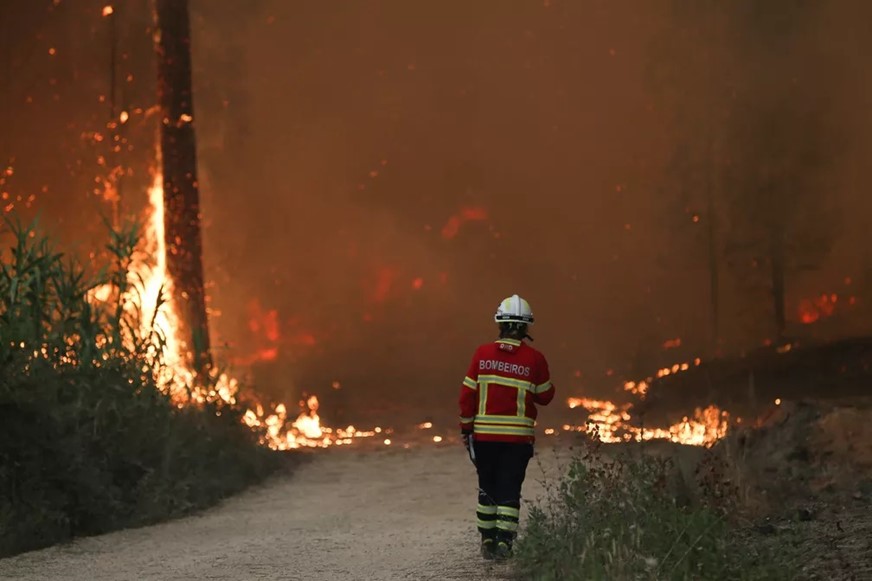 Incêndios Florestais assolando Portugal